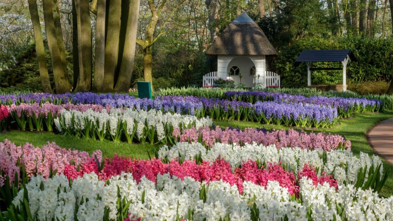 Molecaten Park Noordduinen Katwijk aan Zee Екстериор снимка