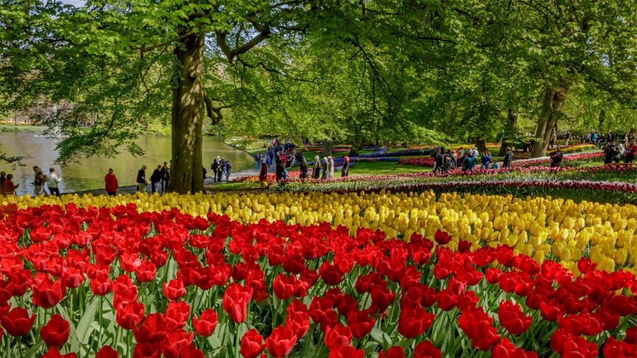 Molecaten Park Noordduinen Katwijk aan Zee Екстериор снимка